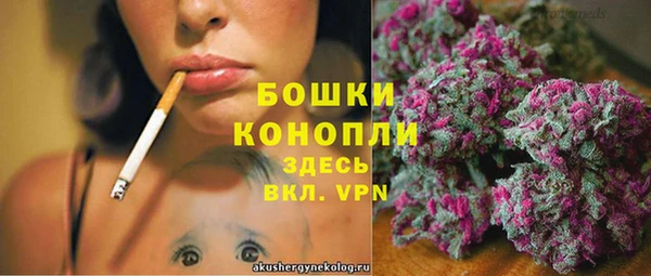 амф Няндома