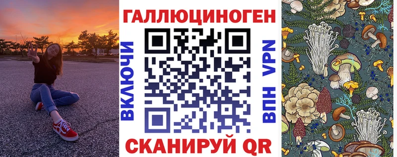 цены наркотик  Новопавловск  блэк спрут   Галлюциногенные грибы MAGIC MUSHROOMS 